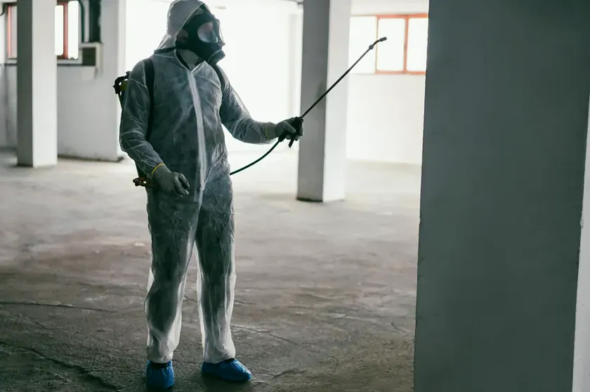 Control de plagas para comunidades de vecinos en Mataró — Fumigaciones Mataró