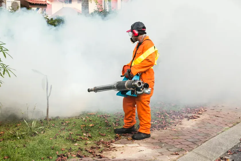 Control del mosquito tigre en Mataró — Fumigaciones Mataró