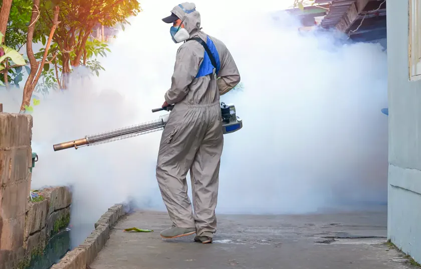 Tratamiento de moscas en Mataró — Fumigaciones Mataró
