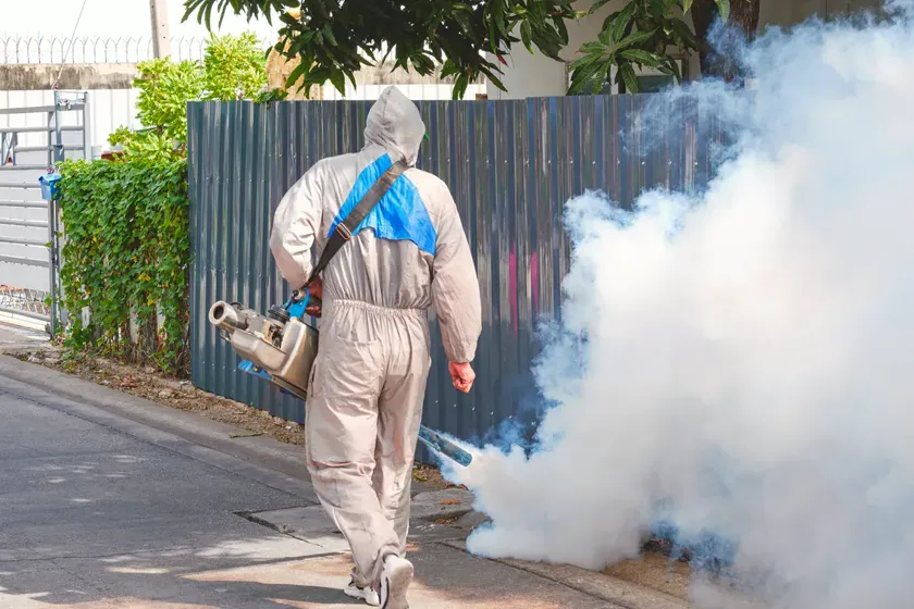 Tratamiento de mosquitos en Mataró — Fumigaciones Mataró
