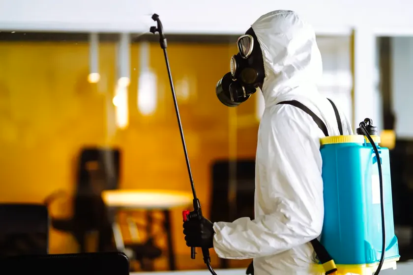 Control de plagas para oficinas en Mataró — Fumigaciones Mataró