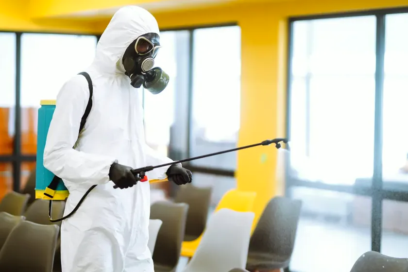 Control de plagas para clínicas y residencias en Mataró — Fumigaciones Mataró