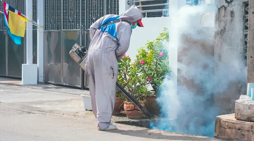 Control de plagas para viviendas particulares en Mataró — Fumigaciones Mataró